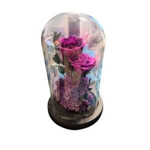 Preserved Eternal Purple Rose in Glass Dome LED Fairy Lights